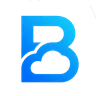 Bzync